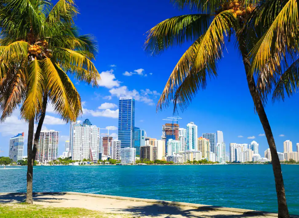 summer-study-holiday--Miami